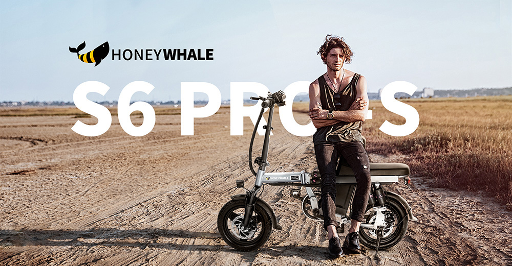 Mini Opvouwbare City E-bike HONEYWHALE S6 Pro-S, 250W 48V 15AH(720Wh) 45-55km 35km/h 28N.m 14in Band Tri-Vering - Grijs