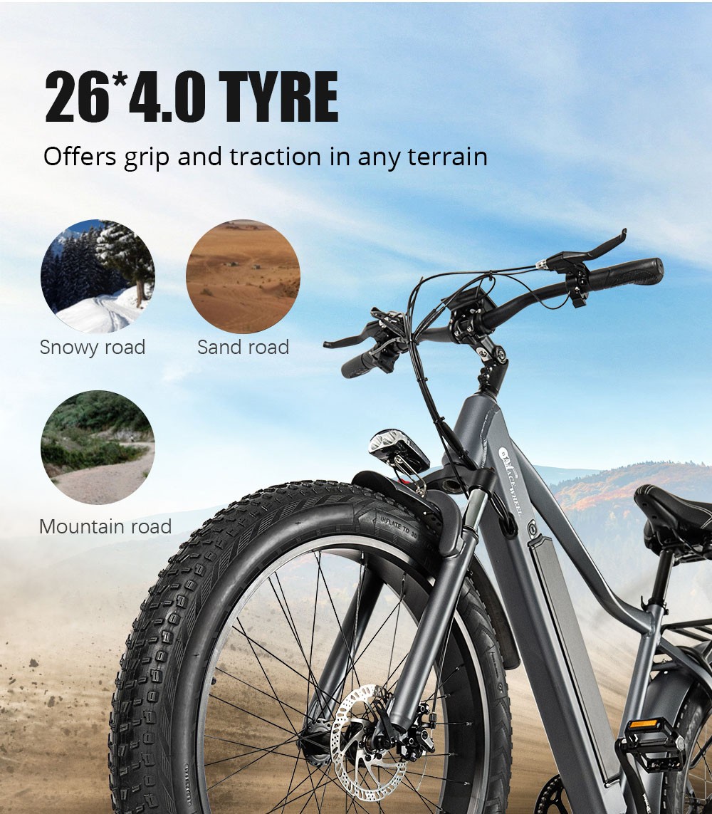 CMACEWHEEL J26 Electric Bike, 26*4.0 CST Tire, 750W Motor, 17Ah Battery, Disc Brake, 150kg Load - Silver Grey