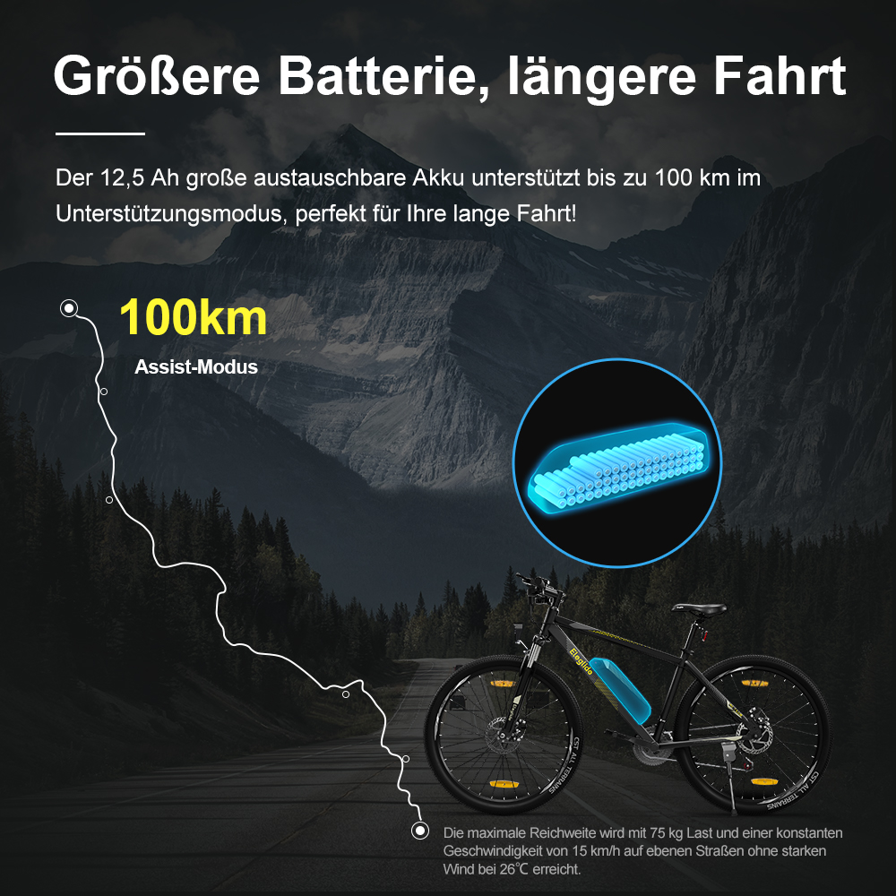 2 Stück  M1 PLUS 29 Zoll e-Bike MTB Mountainbike Mit App-Steuerung