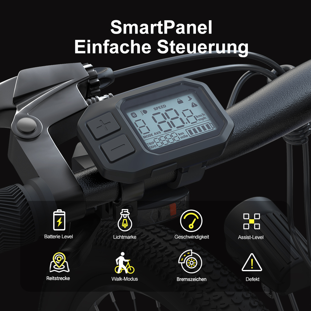 Elektro-Mountainbike  M1 PLUS 29, 36V 12.5AH 100KM 250W 25KM/H, App-Steuerung, 21 Gänge 5 Geschwindigkeitsstufen