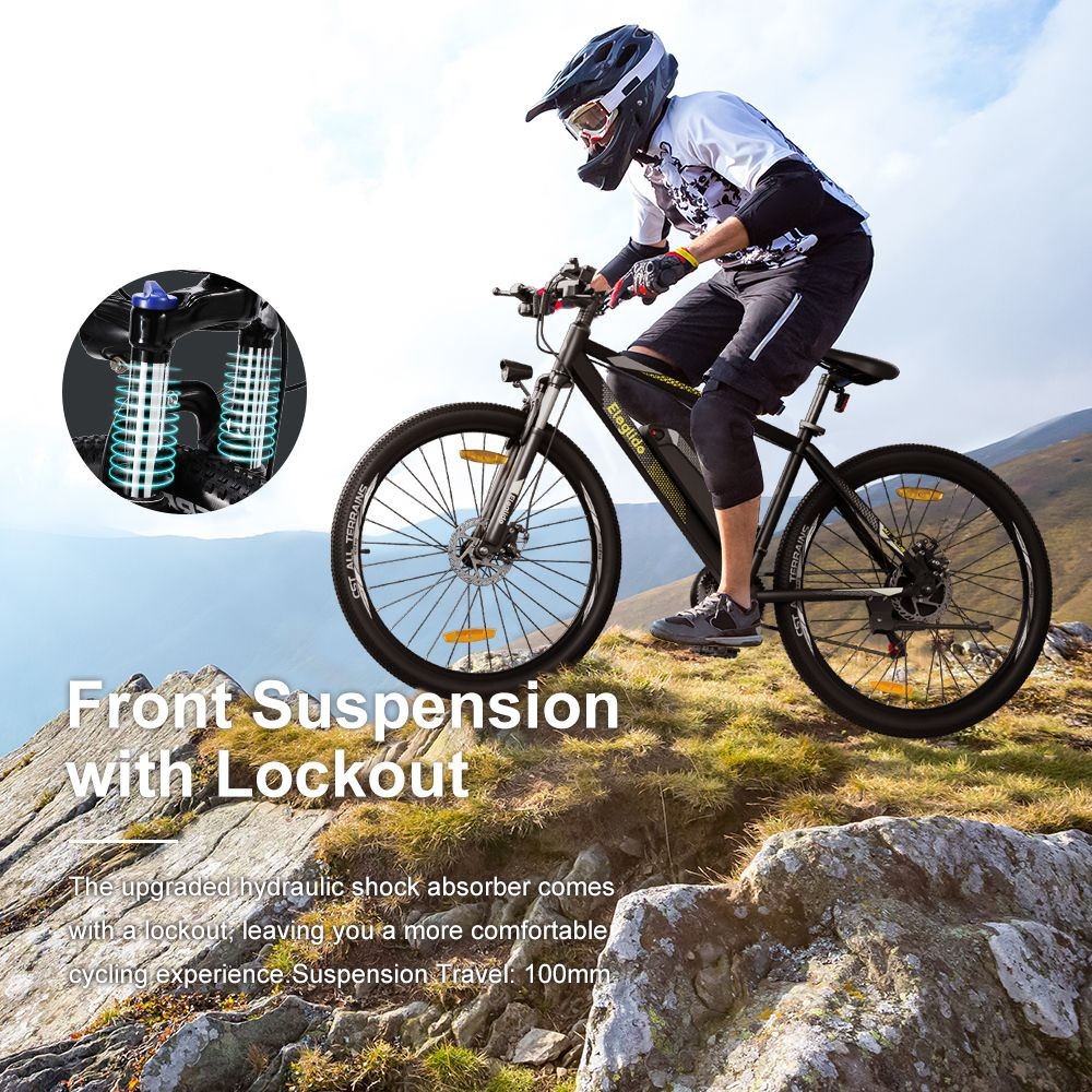 2 Pcs ELEGLIDE M1 PLUS 29 Inch CST Tire Electric Bike MTB Mountain Bike With App Control