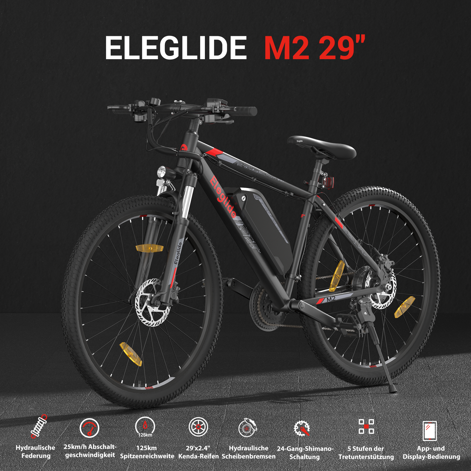 Elektro-Mountainbike  M2 29, 36V 15AH 125KM 250W 25KM/H, App-Steuerung, 24 Gänge 5 Geschwindigkeitsstufen