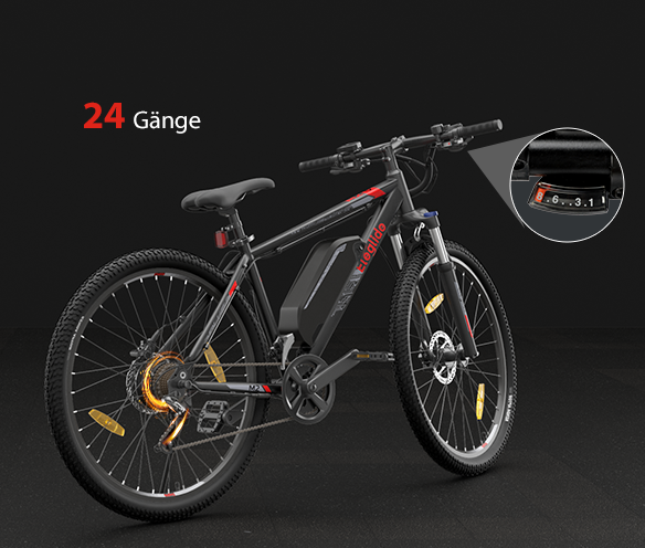 Elektro-Mountainbike  M2 29, 36V 15AH 125KM 250W 25KM/H, App-Steuerung, 24 Gänge 5 Geschwindigkeitsstufen