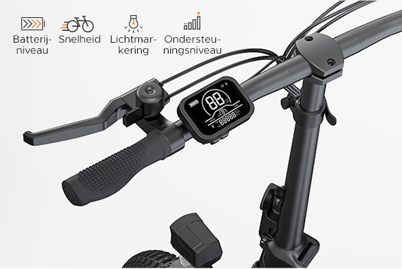 Opvouwbare Elektrische Fiets ENGWE P1, 250W 36V 13Ah 25km/h 50-100KM 40N.m Koppelsensor 20*3 Inch Band, EU-conform-Sliver