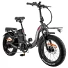 Fafrees F20 X-Max 20*4.0 inch Vette Band Opvouwbare Elektrische Fiets, 750W Motor, 30Ah Batterij, Max Snelheid 25km/h - Grijs