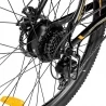 Fafrees F28 MT 27,5*2,25 inch Banden Mountain Elektrische Fiets, 250W Motor, 14,5Ah Batterij, 25km/h Max Snelheid, 110km - Zwart