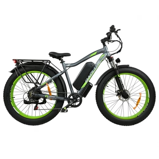 

BAOLUJIE DP2619 Electric Bike, 26*4.0inch Fat Tire, 750W Motor, 13Ah Battery, 45km/h Max Speed - Grey