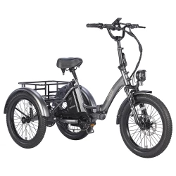 FAFREES F20 Mate Electric Tricycle Cargo, 500W Brushless Motor, 48V/18.2Ah Battery, 20*3.0-inch Fat Tires - Grey