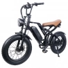 EUENI FXH009 Pro Electric Bike, 20-inch Tire, 750W Motor, 48V 15Ah Battery, 45km/h Max Speed - Black