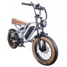 EUENI FXH009 Pro Electric Bike, 20-inch Tire, 750W Motor, 48V 15Ah Battery, 45km/h Max Speed, 96km Range - Grey