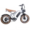 EUENI FXH009 Pro elektrische fiets, 20-inch band, 750W motor, 48V 15Ah accu, 45km/h max snelheid, 96km actieradius - Grijs