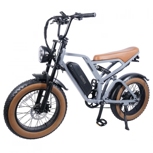 

EUENI FXH009 Pro Electric Bike, 20-inch Tire, 750W Motor, 48V 15Ah Battery, 45km/h Max Speed, 96km Range - Grey