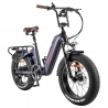 FAFREES F20 Master Electric bike, Carbon Fiber,500W Hub Motor, 48V 22.5Ah Battery, 20*4.0 Inch Air Tire - Aurora Grey