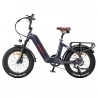 FAFREES F20 Master Electric bike, Carbon Fiber,500W Hub Motor, 48V 22.5Ah Battery, 20*4.0 Inch Air Tire - Aurora Grey