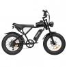 Ridstar Q20 Mini Electric Bike, 1000W Motor, 48V 15AH Battery, 20*4.0 inch Fat Tires, 40km/h Max Speed