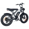 ONESPORT ONES3 Electric bike, 20*4.0 inch tires, 500W motor, 48V/15Ah battery, 25km/h max speed