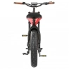 Hidoes B10 Electric Bike, 1000W Motor, 48V 12.5Ah Battery, 20 x4' Fat Tire, 45km/h Max Speed, 60km Range