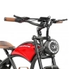 Hidoes B10 Electric Bike, 1000W Motor, 48V 12.5Ah Battery, 20 x4' Fat Tire, 45km/h Max Speed, 60km Range