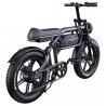 PHNHOLUN C8 Pro Electric Bike, 1500W Motor, 48V 20Ah Battery, 20*4.0-inch Fat Tires, 60Km/h Max Speed