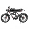 DUOTTS F20 Electric Bike, 750W Motor, 52V 27Ah Battery, 20*4.0 Inch Fat Tires, 50km/h Max Speed, Turn Signal