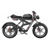 DUOTTS F20 Electric Bike, 750W Motor, 52V 27Ah Battery, 20*4.0 Inch Fat Tires, 50km/h Max Speed, Turn Signal