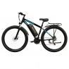 DUOTTS C29 Electric Bike with Rear Rack , 750W, 48V 15Ah Battery, 50km Range, 50km/h Max Speed