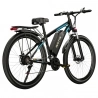 DUOTTS C29 Electric Bike with Rear Rack , 750W, 48V 15Ah Battery, 50km Range, 50km/h Max Speed