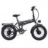 Ridstar H20 Pro Foldable Electric Bike, 1000W*2 Motor, 48V 23AH Battery, 20*4 Inch Fat Tires, 49km/h Max Speed