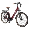 E-Bike mit Mittelmotor TESWAY COMET-F Step-thru Elektro-Trekkingrad, 500W 55N.M 672Wh 80km 40km/h Torque Sensor 27.5“ Reifen-Rot