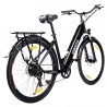 ESKUTE ES-28-SDXK Electric Bike, 250W Motor, 36V 20Ah Battery, 28*1.75-inch Tires, 25km/h Max Speed - Black