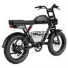 MTB Electric Bike GUNAI-T, 1000W 48V 21Ah 90N.m 7 Speed 5 Levels 20*4.0" Fat Tires, Front & Rear Suspension,Hydraulic Disc Brake