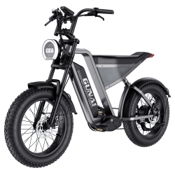 MTB Elektrische Fiets GUNAI-Y, 1000W 48V 18Ah 90N.m 7 Speed 20"*4.0" Dikke Banden, Voor & Achtervering, Hydraulische Schijfrem