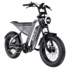 MTB Electric Bike GUNAI-Y, 1000W 48V 18Ah 90N.m 7 Speed 20*4.0-inch Fat Tires, Front & Rear Suspension, Hydraulic Disc Brake