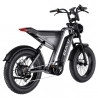 MTB Electric Bike GUNAI-Y, 1000W 48V 18Ah 90N.m 7 Speed 20*4.0-inch Fat Tires, Front & Rear Suspension, Hydraulic Disc Brake