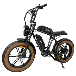 PVY X20 Electric Bike  1000W Motor  48V 30Ah Dual-battery  20*4 0'' Fat Tire  50km/h Max Speed  200km Max Range  Hydraulic Disc