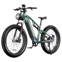 DUOTTS E26 Electric Bike  750W Motor  48V 20Ah Battery  26*4 0 inch Tires  55km/h Max Speed  120km Max Speed  Hydraulic Disc Br