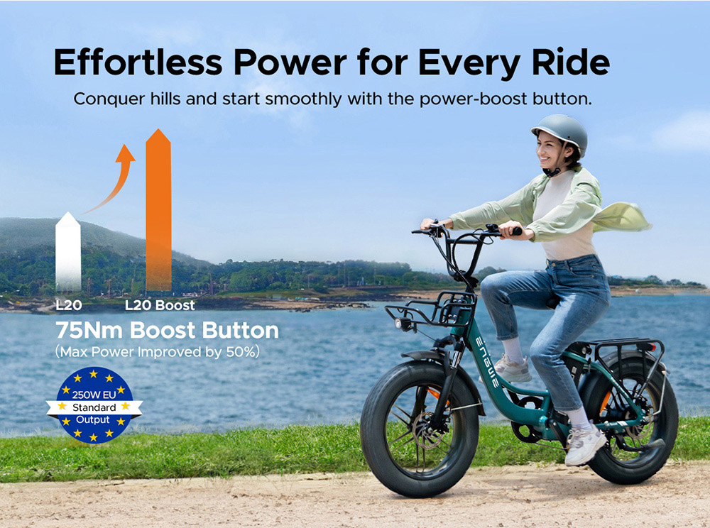 ENGWE L20 BOOST Electric Bike  250W Motor  48V 13AH Battery  20*4-inch Fat Tires  25km/h Max Speed  126km Max Range  Torque Sen